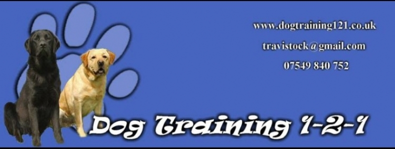 Jill Hopkins microchip implanter in Southport, Merseyside