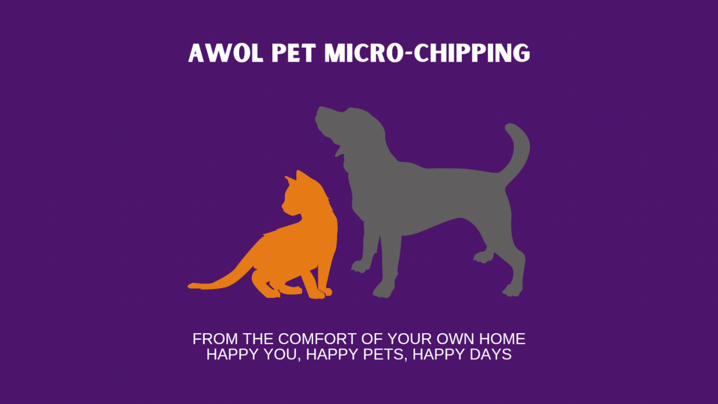 Donna Musyka/AWOL Pet Microchipping microchip implanter in Barnsley, Yorkshire