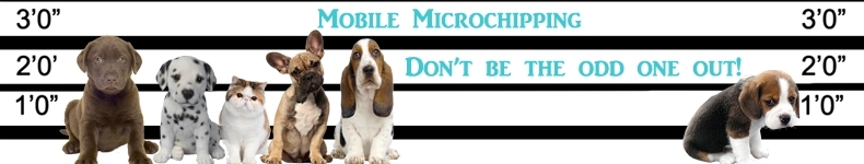 Mobile MicroChipping microchip implanter in Shrewsbury, Shropshire