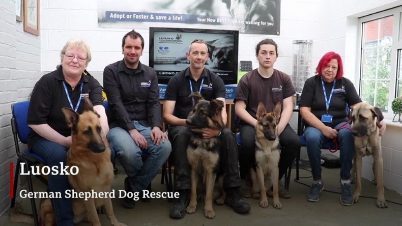 LUOSKO German Shepherd Dog Rescue microchip implanter in Cheadle, Staffordshire