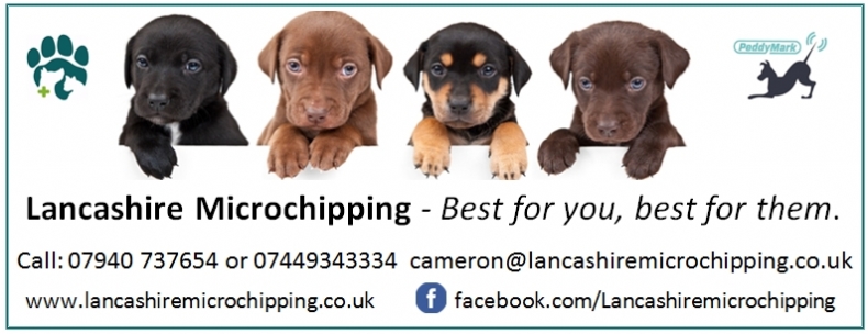 Lancashire Microchipping microchip implanter in Lower Darwen, Lancashire