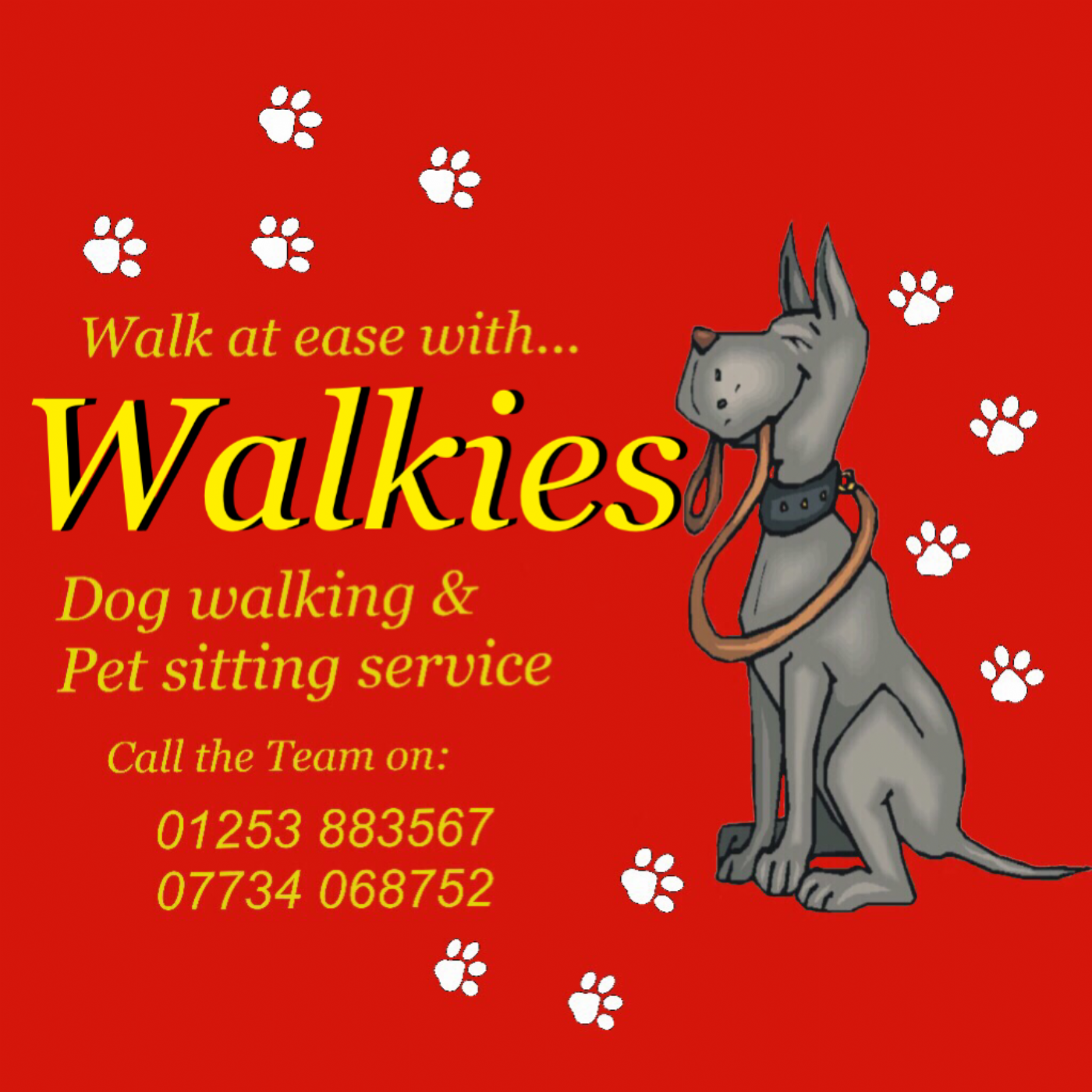 Wendy ashworth microchip implanter in poulton le fylde, Lancashire