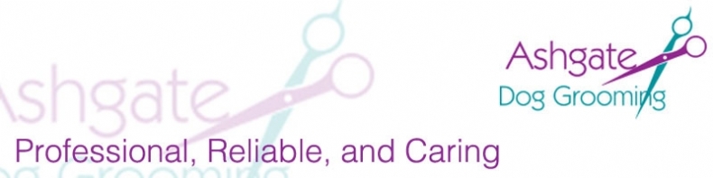 Jacky Ash microchip implanter in Taunton, Somerset