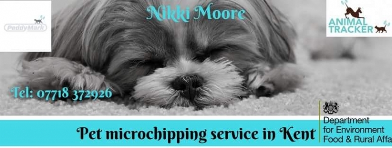Nikki Moore microchip implanter in aylesford, Kent