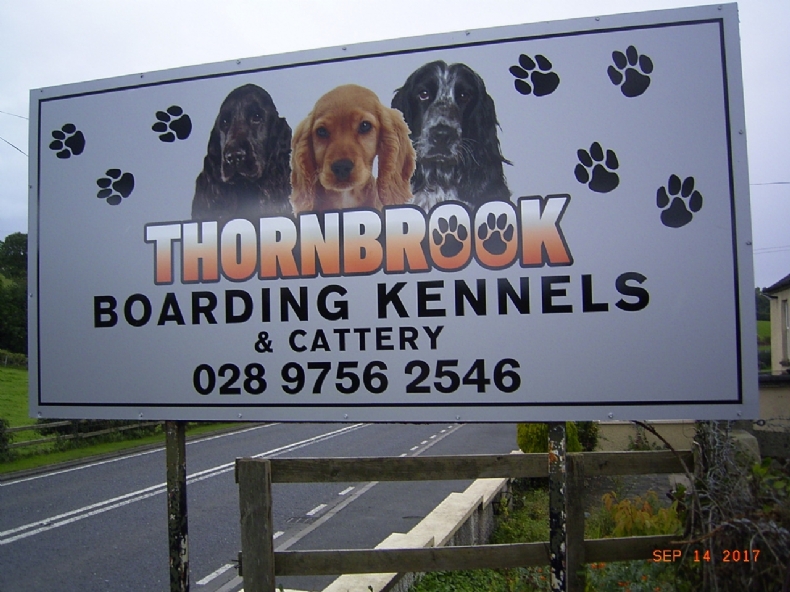 PeddyMark Linda Bailie Cheetham pet microchip implanter in Northern