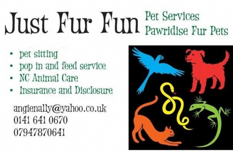 Angela McNally / Just Fur Fun microchip implanter in Cambuslang, Scotland
