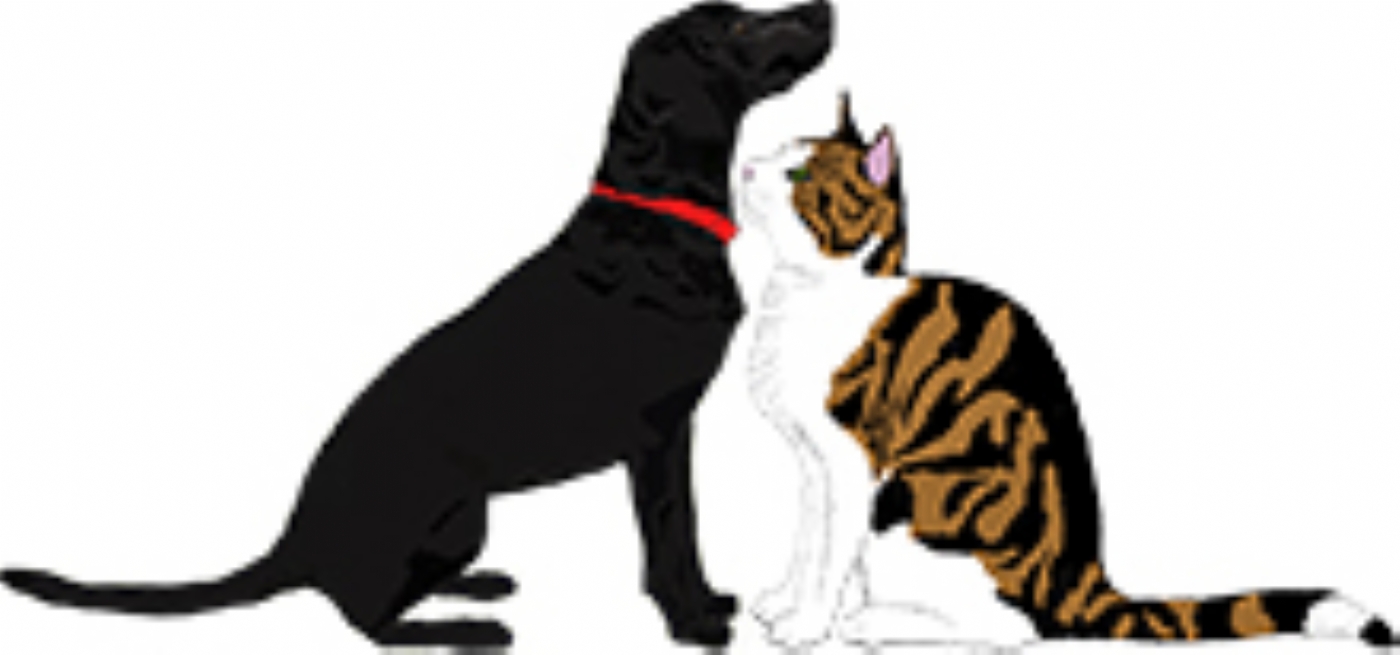 Mrs Charlotte Jim microchip implanter in Haywards Heath, Sussex