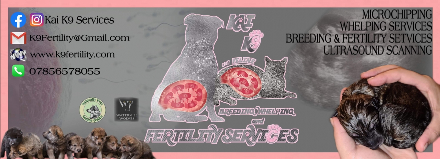 Kai K9 Services microchip implanter in Bexhill-on-Sea, Sussex