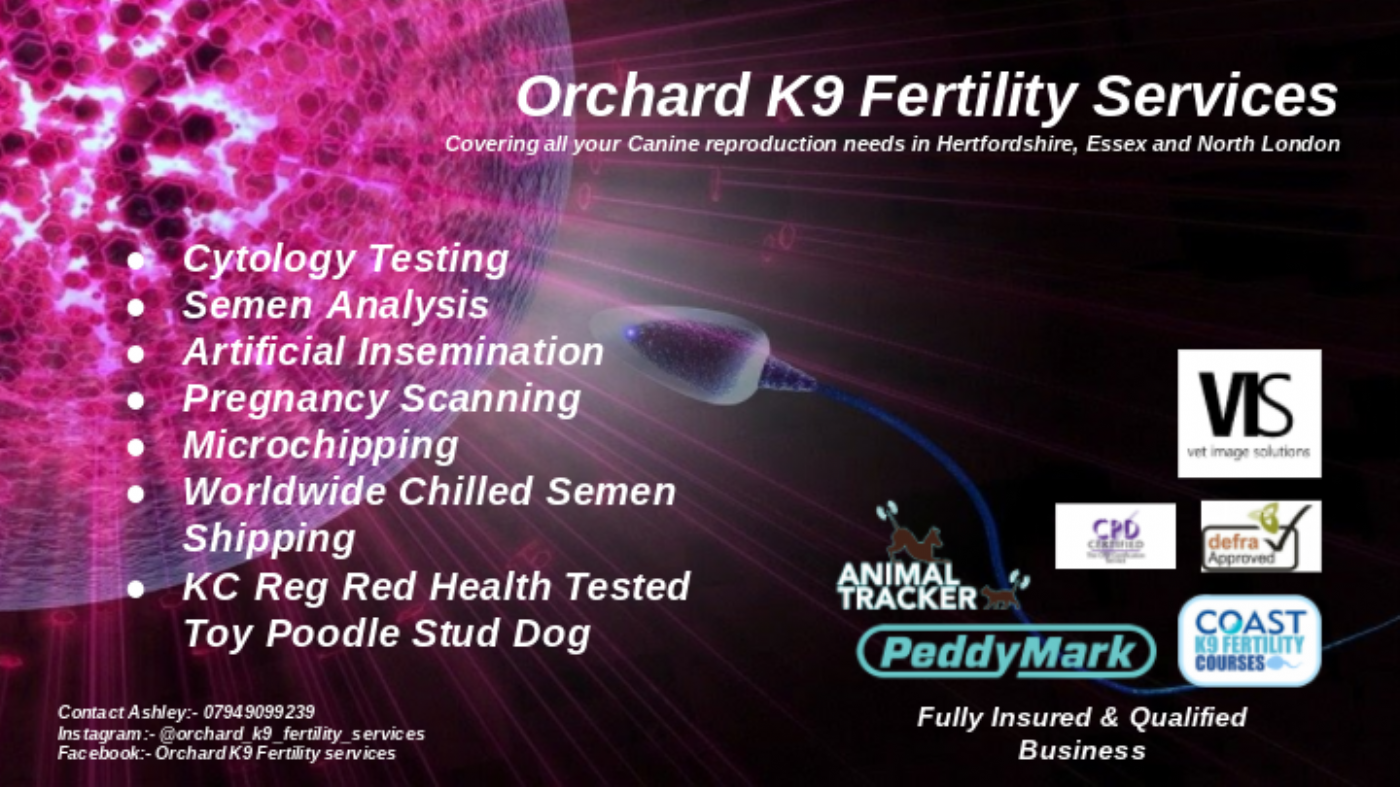 Orchard K9 Fertility Services Ltd microchip implanter in Broxbourne, Hertfordshire