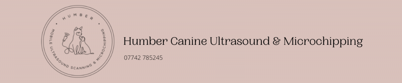 Humber Mobile Ultrasound Scanning & Pet Microchipping  microchip implanter in Scunthorpe, Lincolnshire