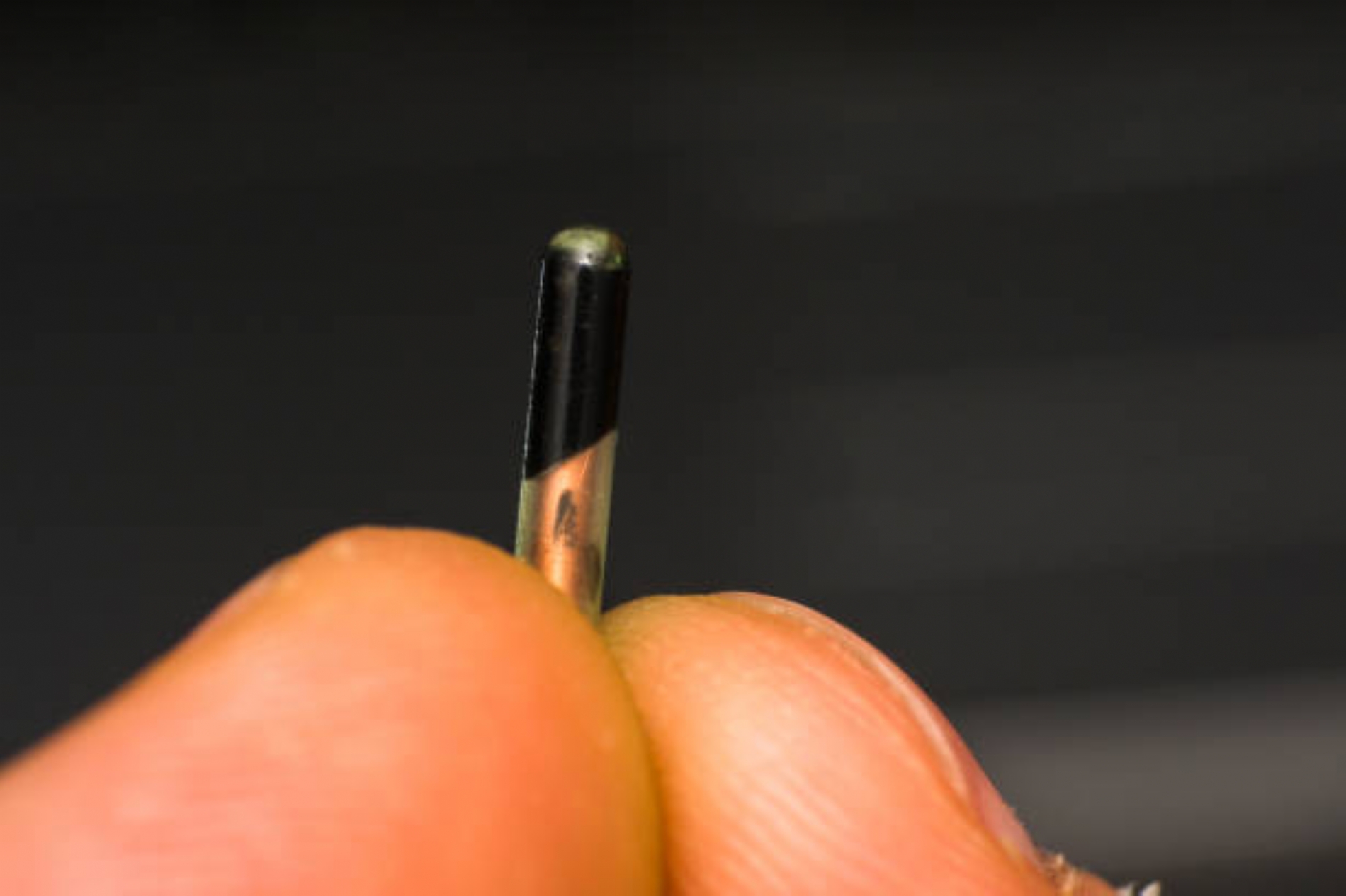 Peddymark News Demystifying Microchipping What Every Pet Owner 