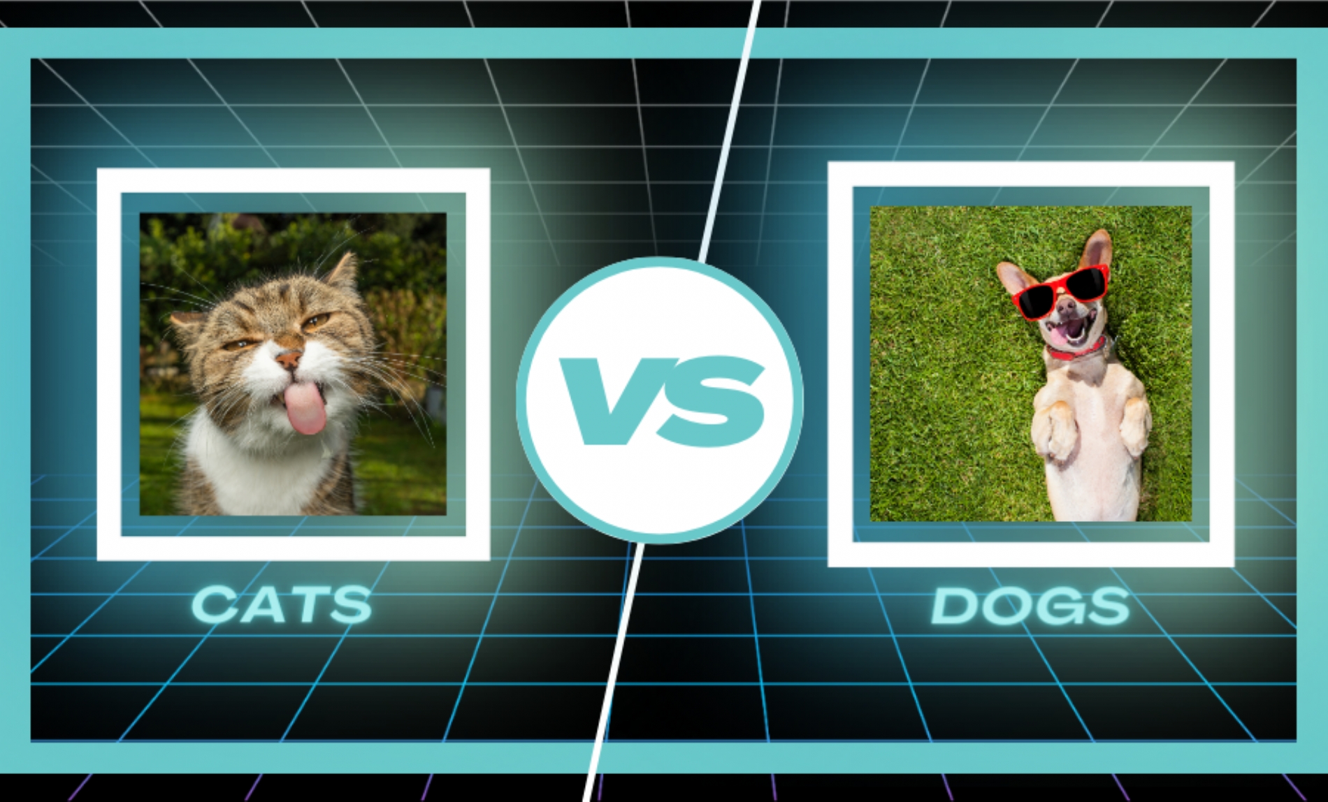 The Fur-tastic Divide: Dog People vs. Cat People